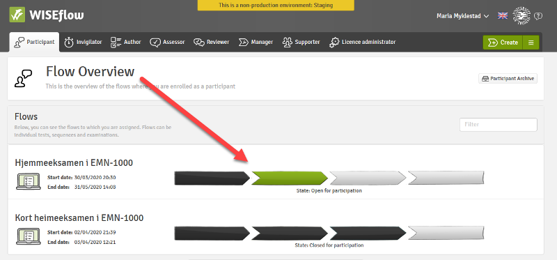 ENG.023. flowmuulti+engelsk_choose+exam.png